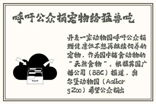 雷电将军部下腿法娴熟