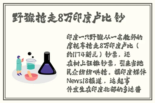 91免费版下